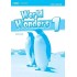 World Wonders 1 Test Book